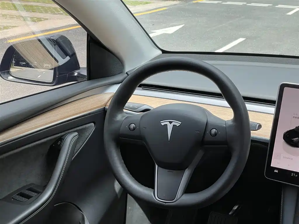 Tesla Model Y 2021 — фото 19