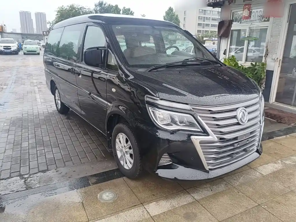 Dongfeng Lingzhi 2020