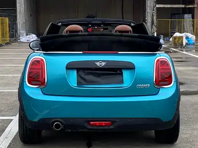 MINI MINI 2019