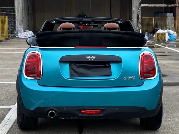MINI 2019