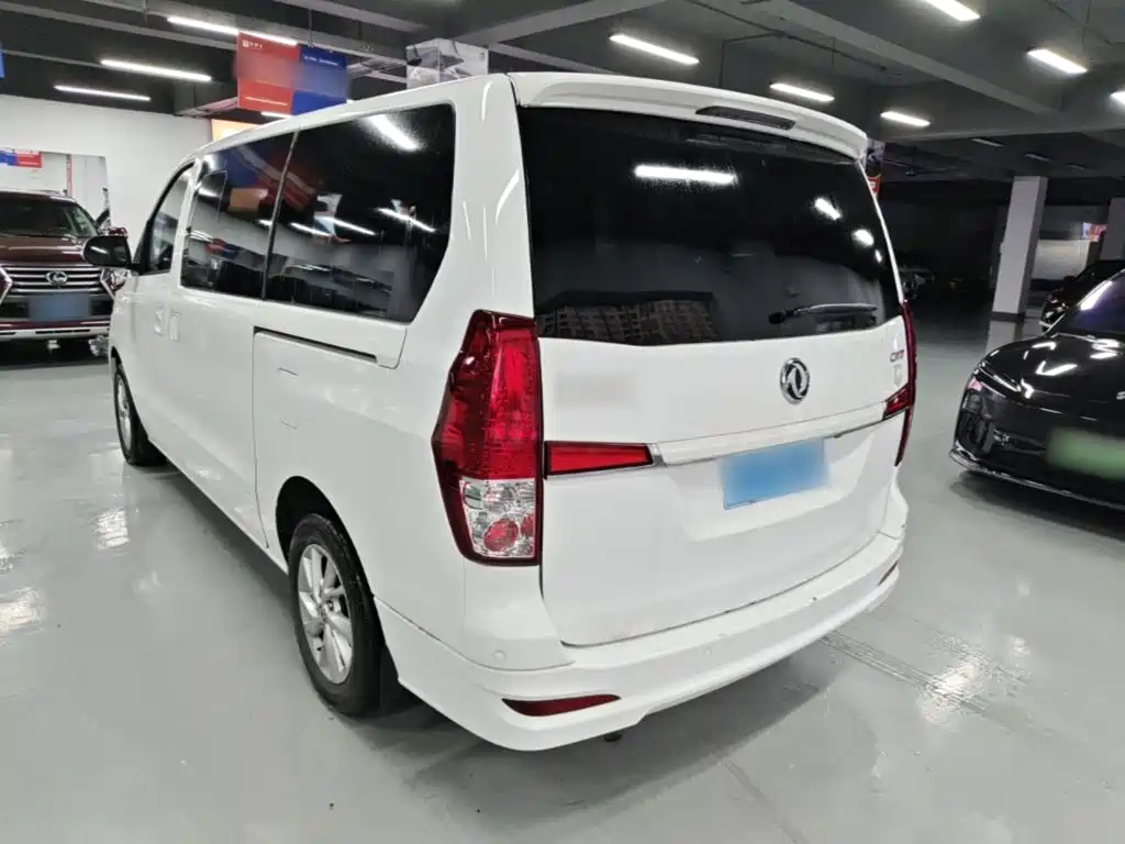 Fengxing Lingzhi PLUS 2021