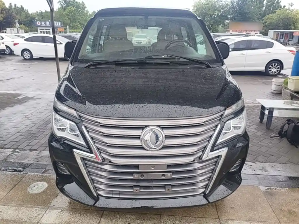 Dongfeng Lingzhi 2020