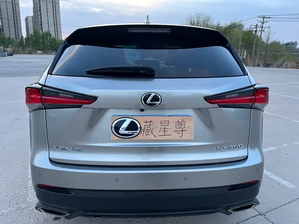 Lexus NX 2018 — фото 31