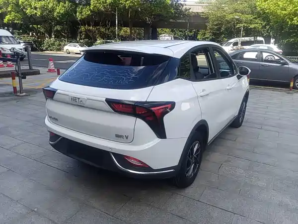 Neta V 2022