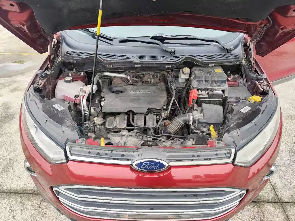 Ford Ecosport 2016 — фото 18