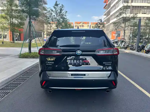 Toyota Wildlander 2020