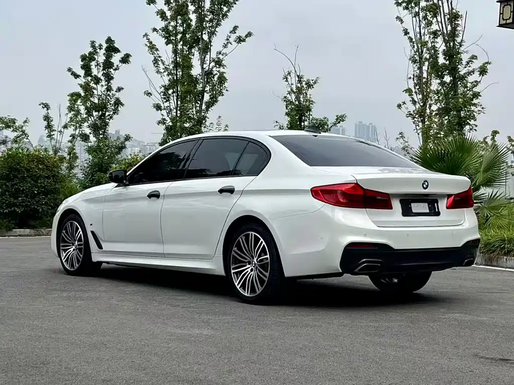 BMW 5 Series 2018 — фото 8