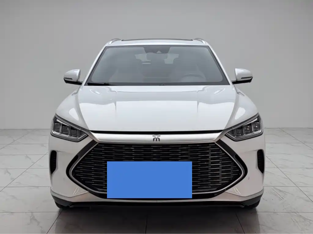 BYD PLUS New Energy 2022 — фото 3