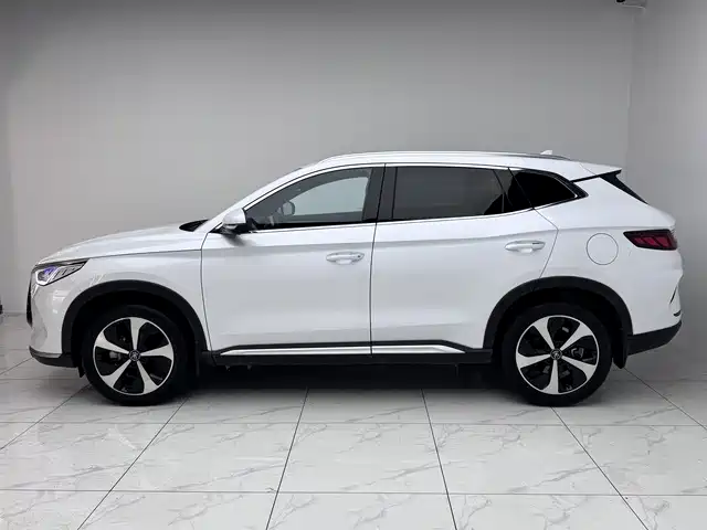 BYD PLUS New Energy 2022 — фото 2