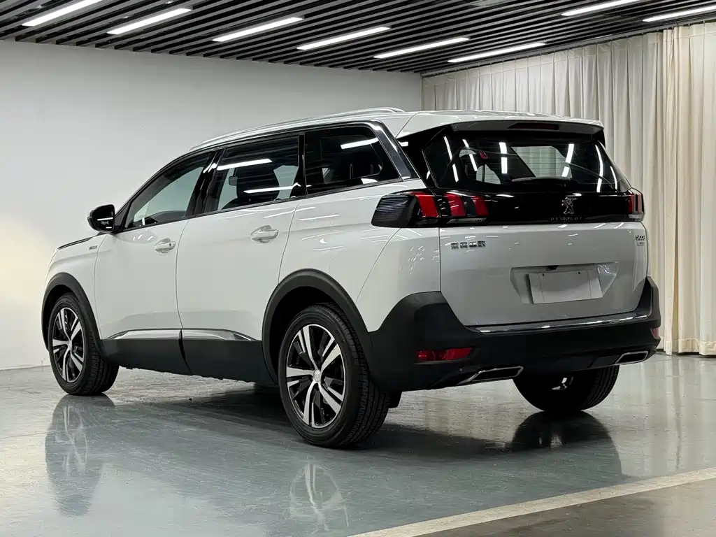 Peugeot 5008 2019 — фото 19