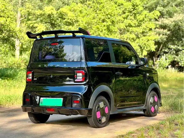 Geely Galaxy Panda 2024