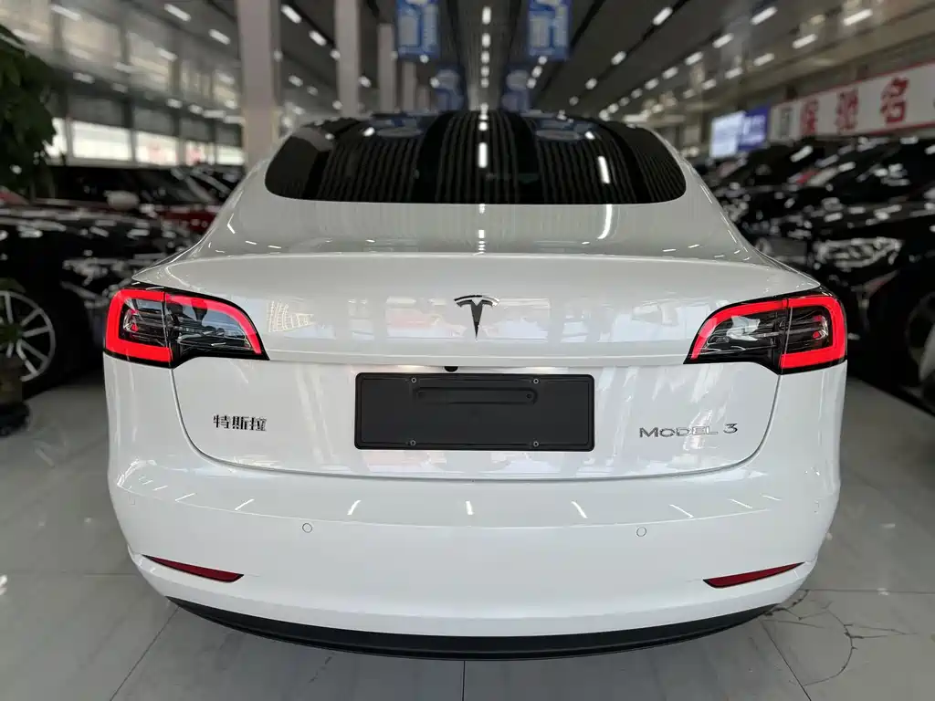 Tesla Model 3 2020 — фото 9