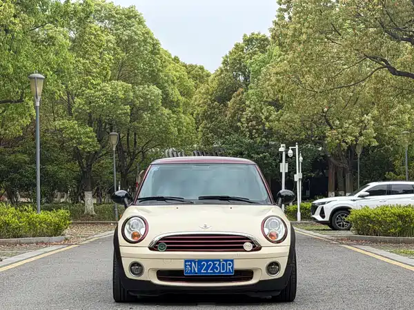 MINI 2010
