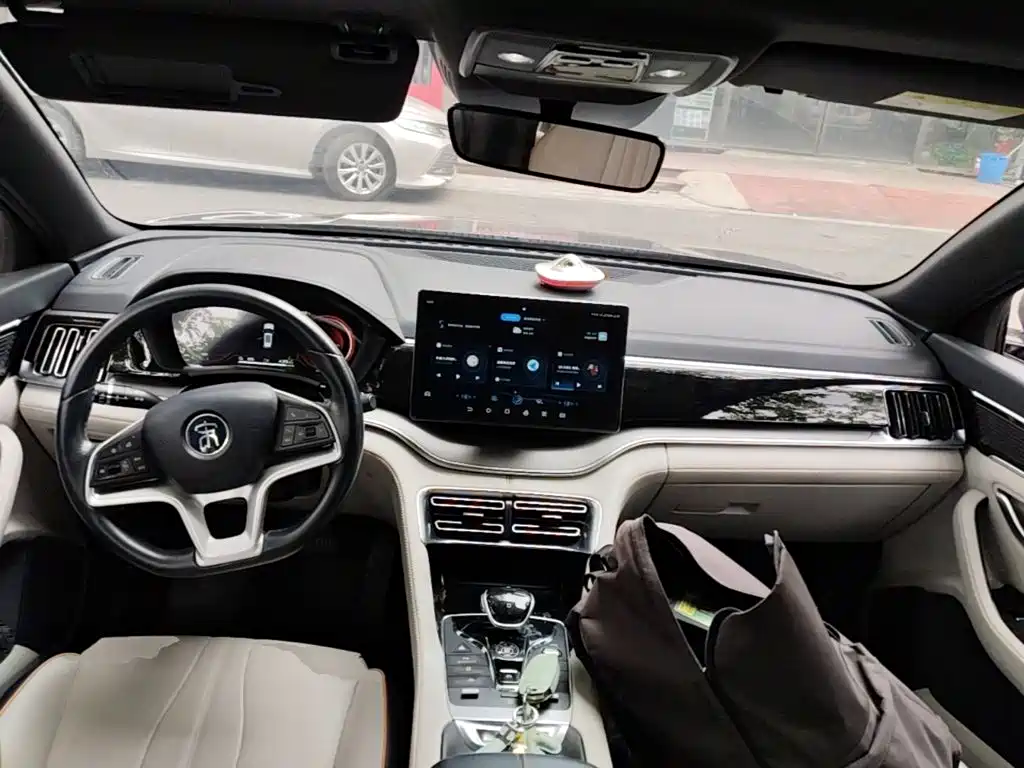 BYD Song PLUS New Energy 2022 — фото 10