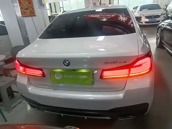 BMW 5 Series New Energy 2021