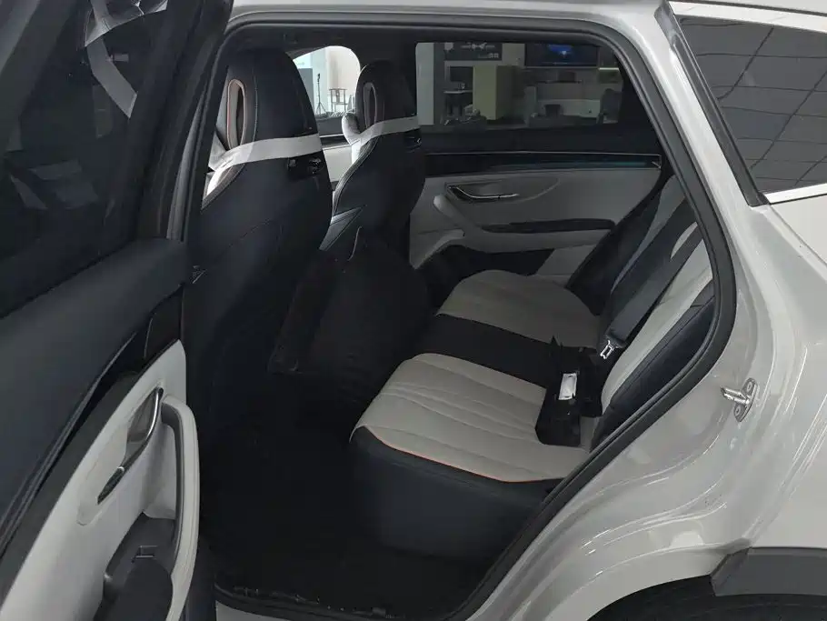 BYD Song PLUS New Energy 2024 — фото 11