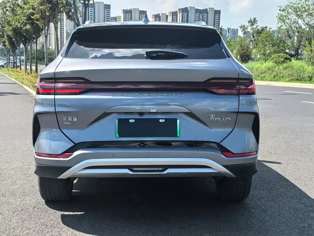 BYD Song PLUS New Energy 2024 — фото 7