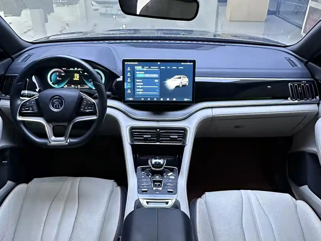 BYD Song PLUS New Energy 2022 — фото 12