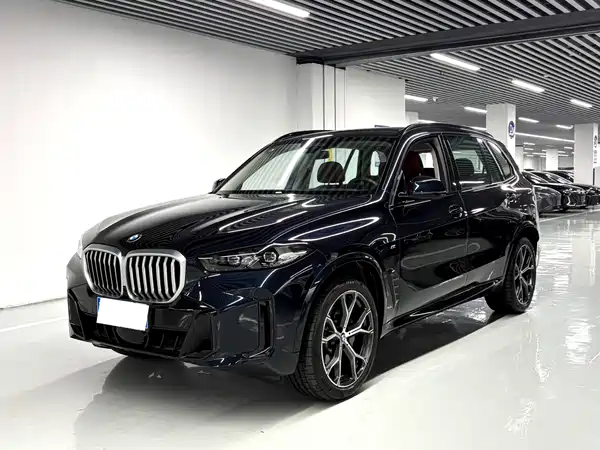BMW X5 2025