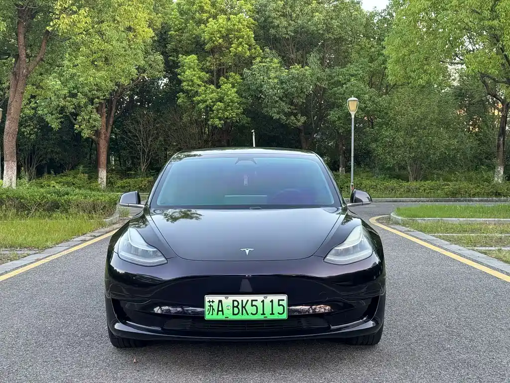 Tesla Model 3 2020 — фото 2