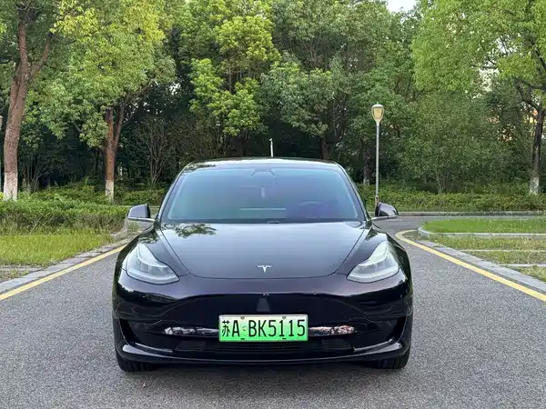 Tesla Model 3 2020