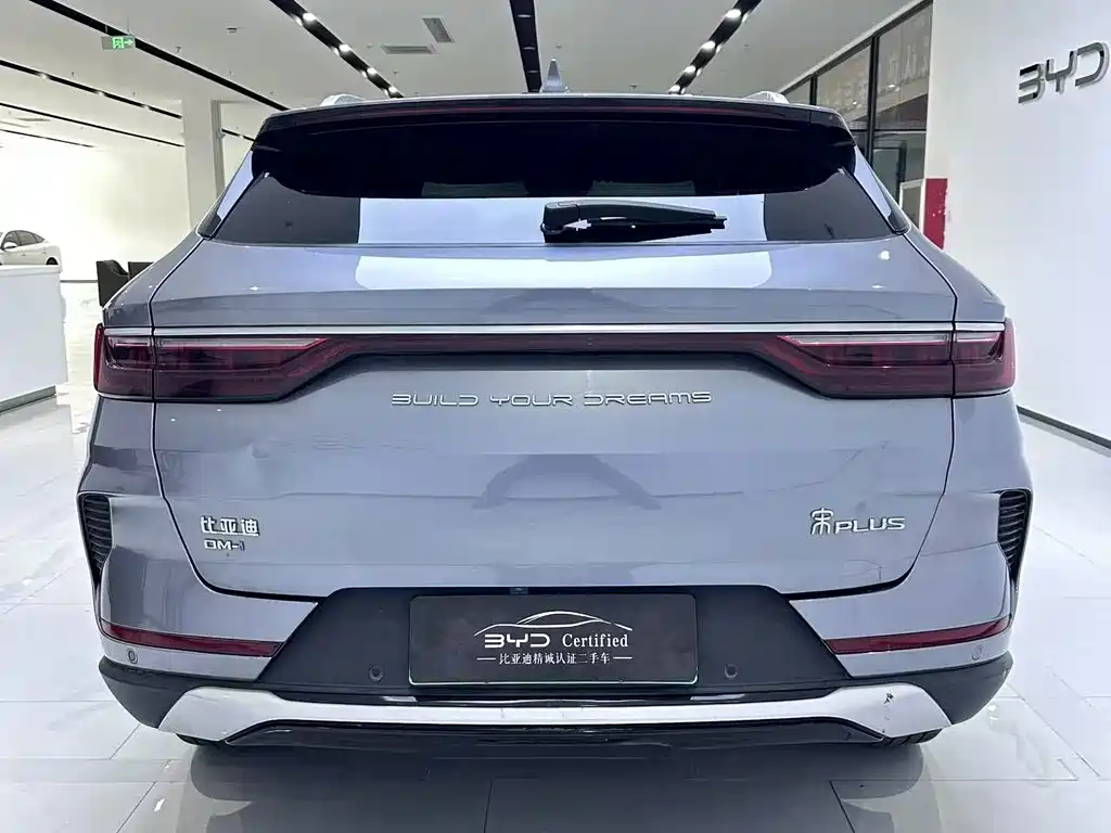 BYD Song PLUS New Energy 2022 — фото 9