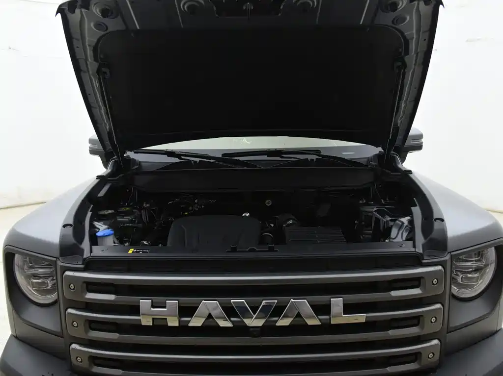 Haval Menglong New Energy 2024 — фото 15