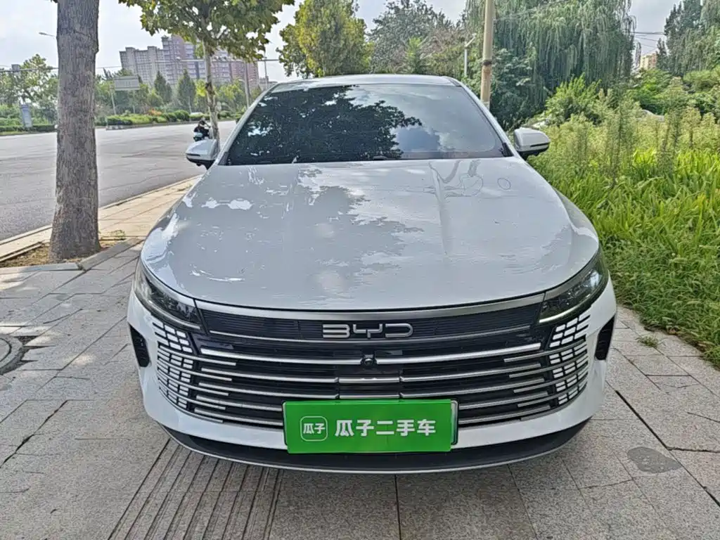 BYD Destroyer 05 2024 — фото 3