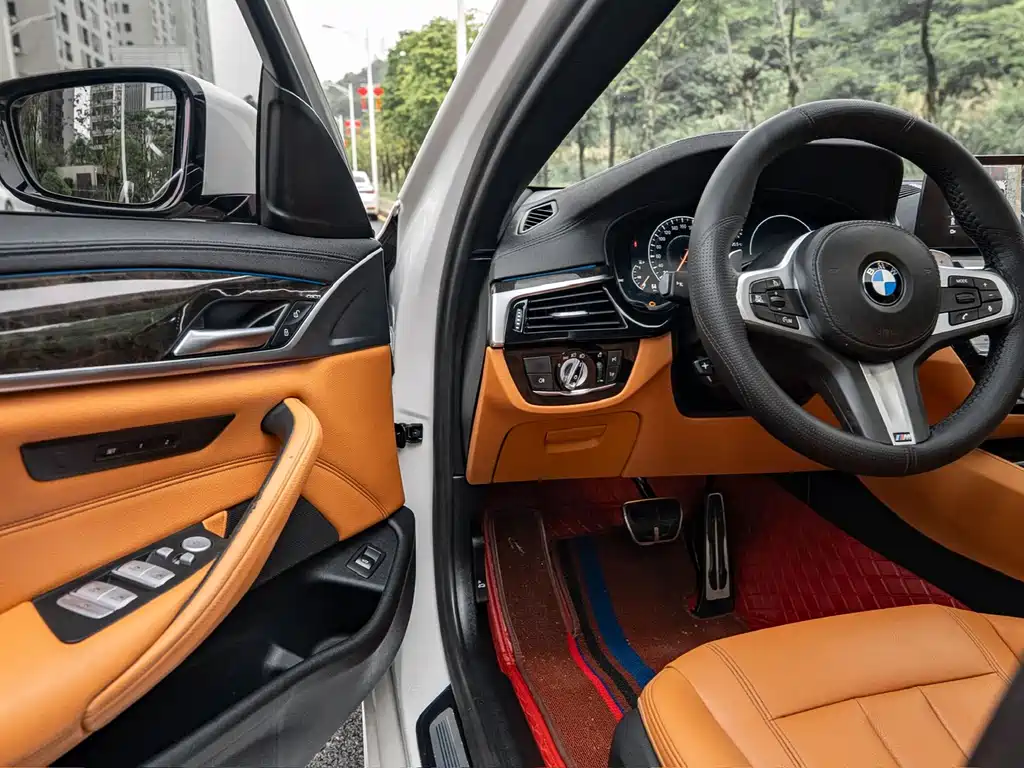 BMW 5 Series 2019