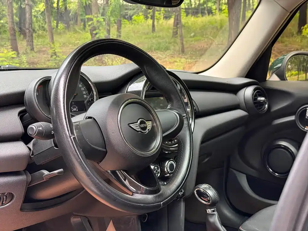 MINI MINI 2018