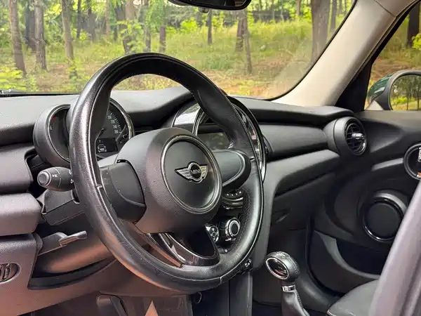 MINI 2018