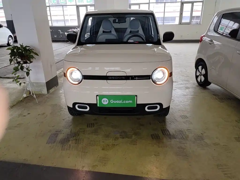 Geely Galaxy Panda 2026