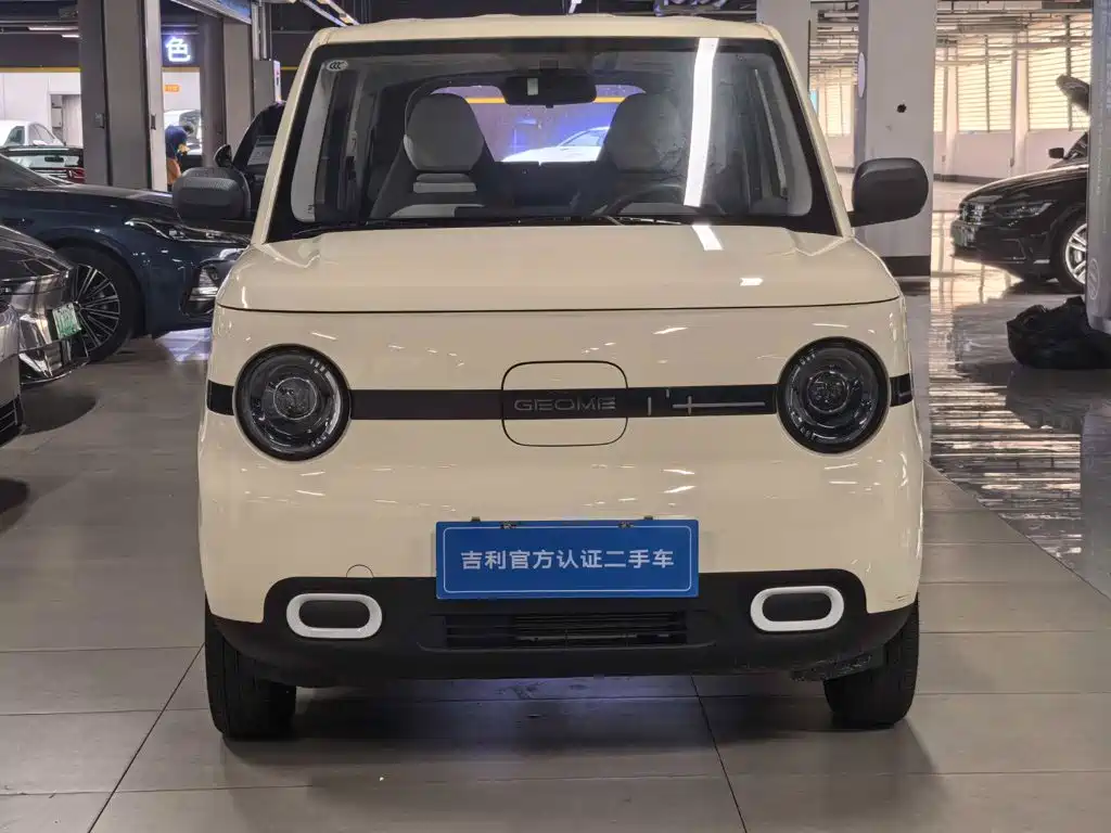 Geely Galaxy Panda 2025 — фото 3