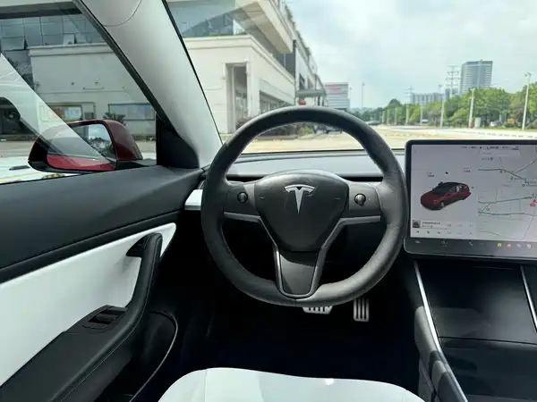 Tesla Model 3 2020