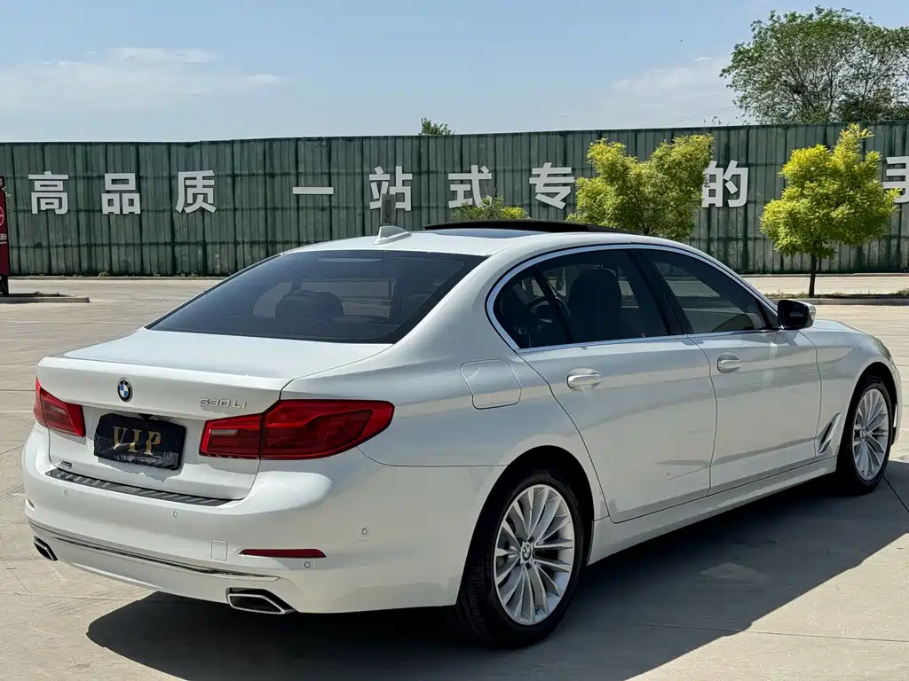 BMW 5 Series 2020 — фото 18