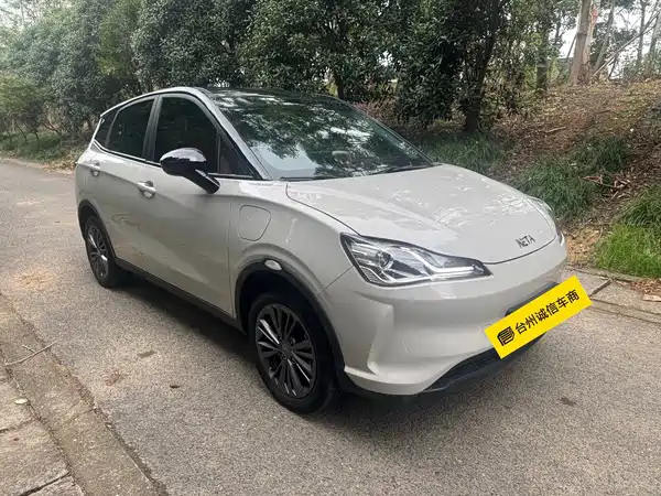 Neta V 2021