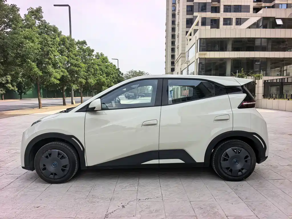 BYD Seagull 2026
