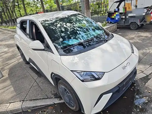 BYD Seagull 2024