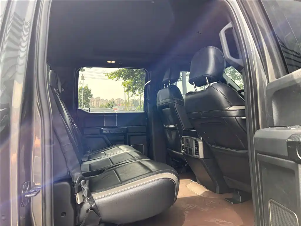 Ford F-150 Raptor 2019 — фото 25