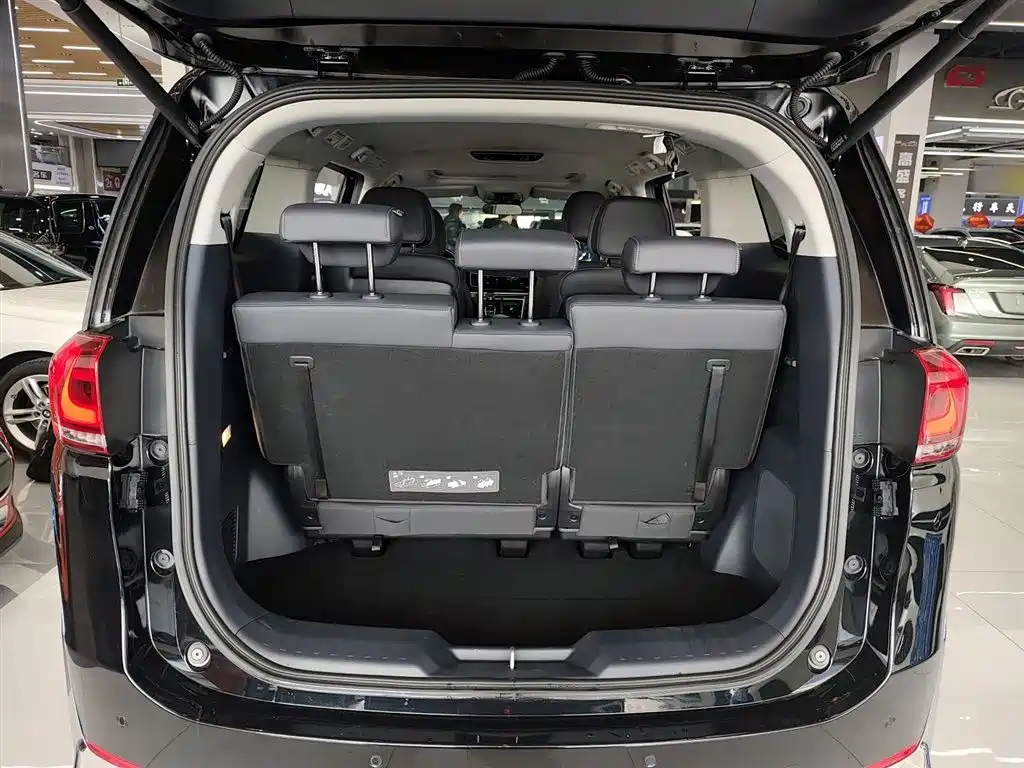 GAC Motor Trumpchi M8 2024 — фото 15