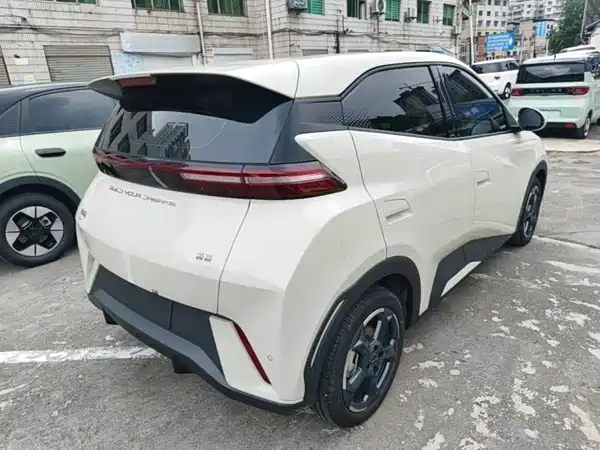 BYD Seagull 2024
