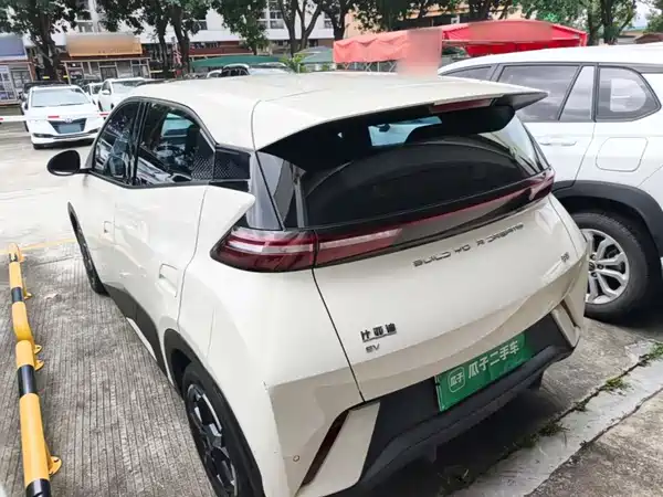 BYD Seagull 2024