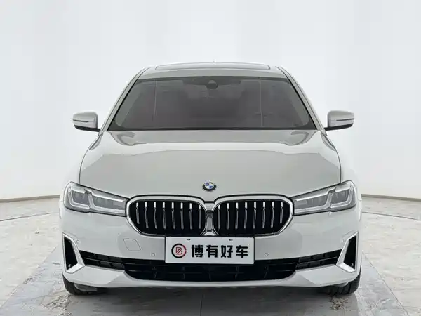 BMW 5 Series New Energy 2021