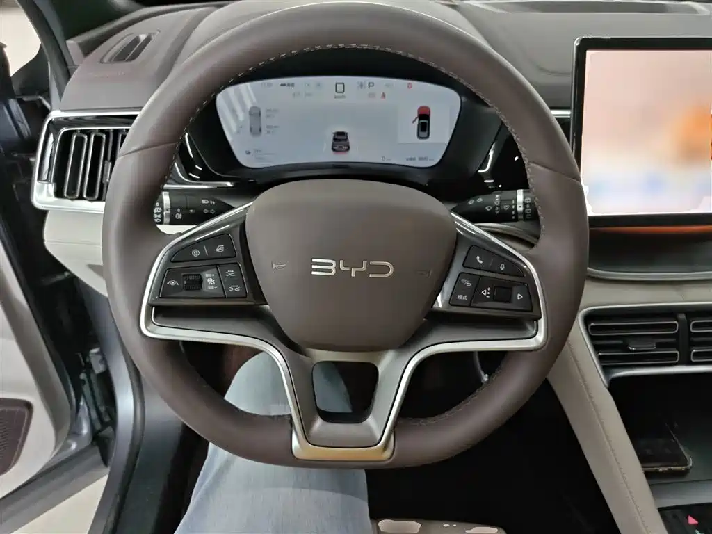 BYD PLUS New Energy 2024 — фото 11