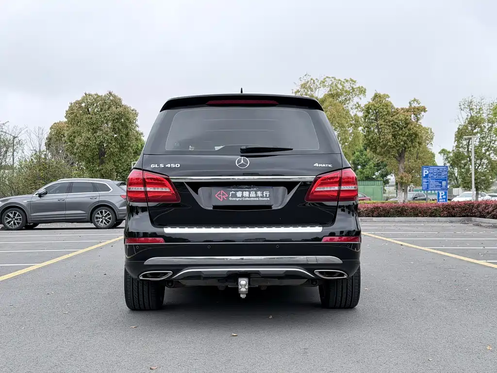 Mercedes-Benz GLS 2018 — фото 13