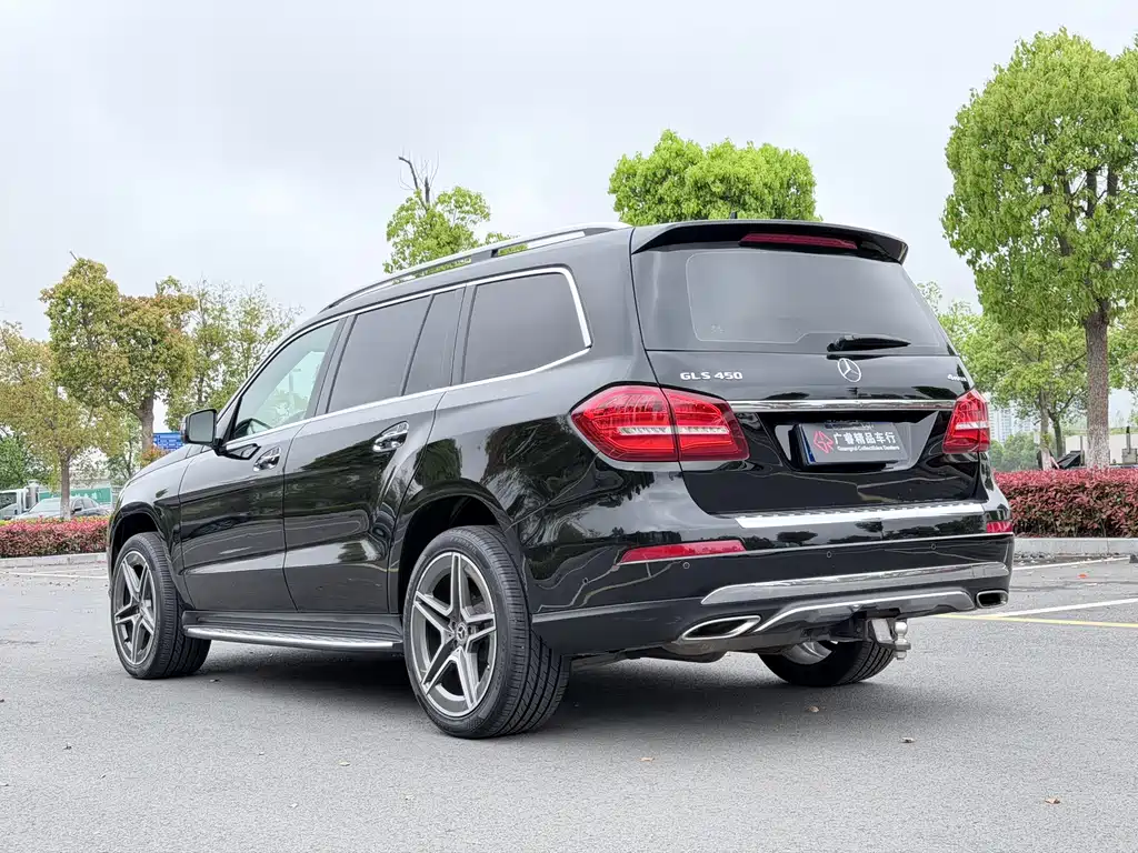 Mercedes-Benz GLS 2018 — фото 14