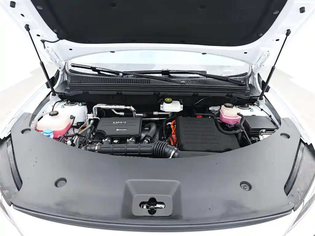 BYD Pro New Energy 2024 — фото 16