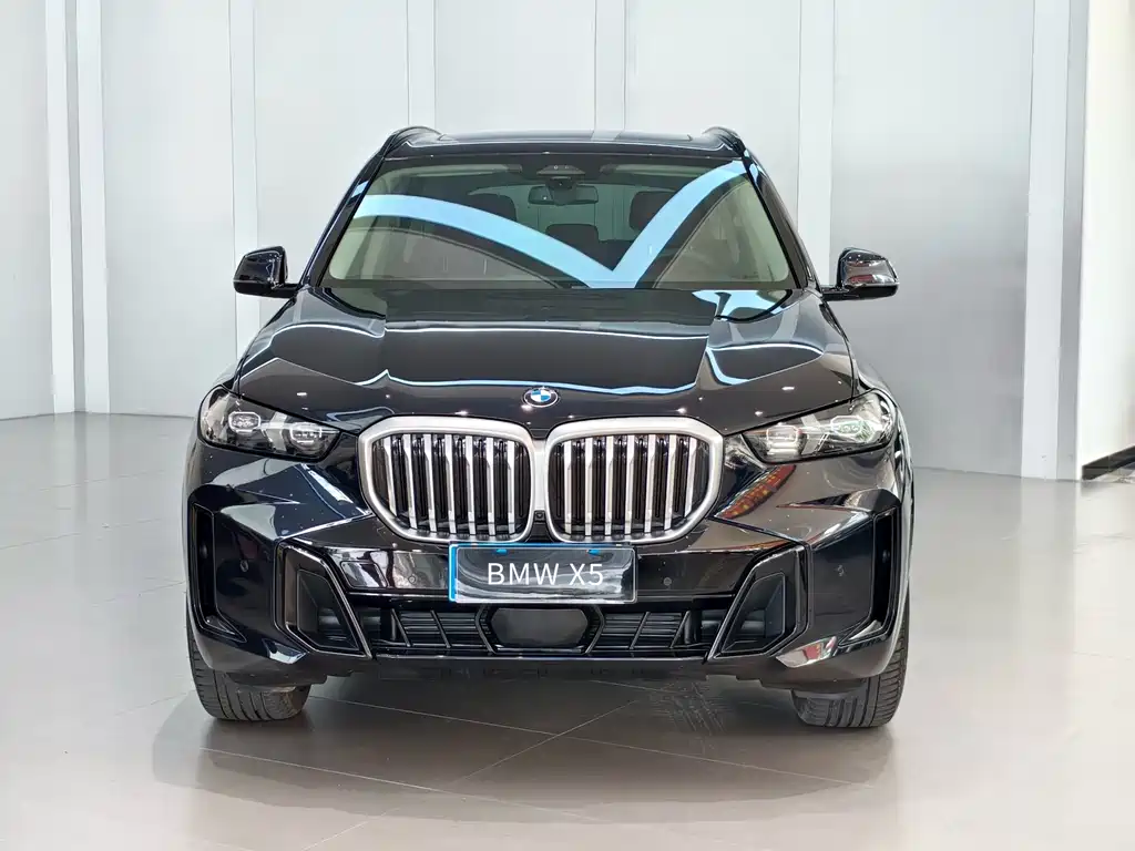 BMW X5 2024