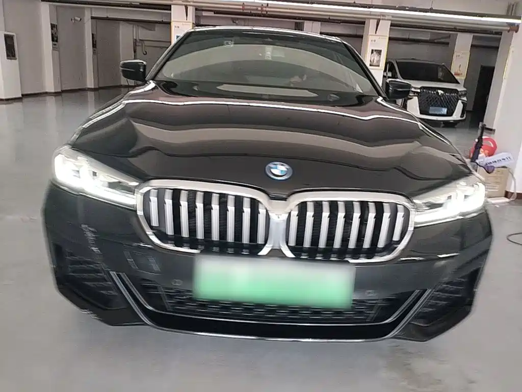 BMW 5 Series New Energy 2021