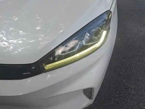 WM Motor EX5 2019